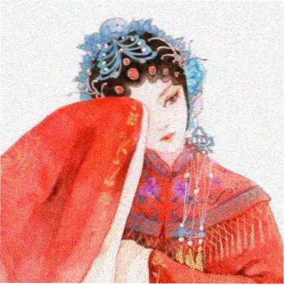 珍奇 Rarity